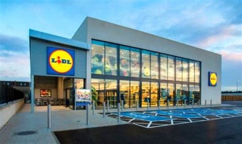 lidl italia lavora con noi.